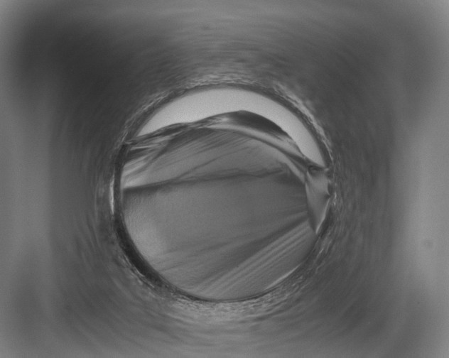 X0000082720019200702161853