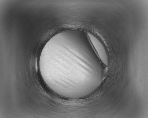 X0000082720020200702161853