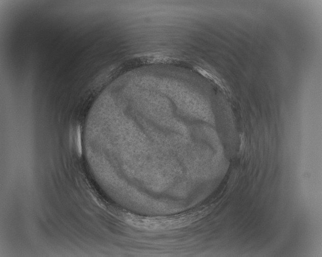 X0000082720022200702161853