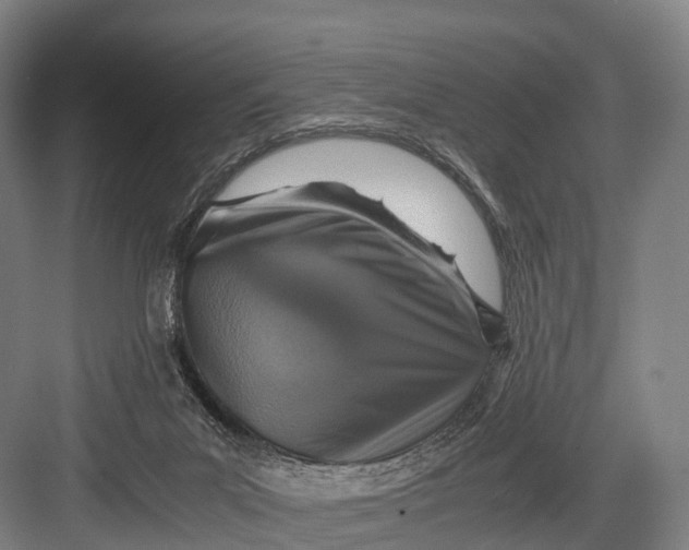 X0000082720023200702161853