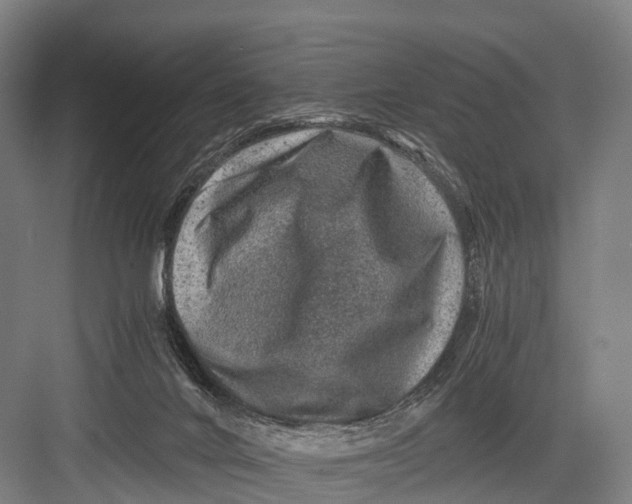 X0000082720024200702161853