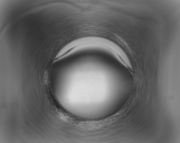 X0000082720025200702161853