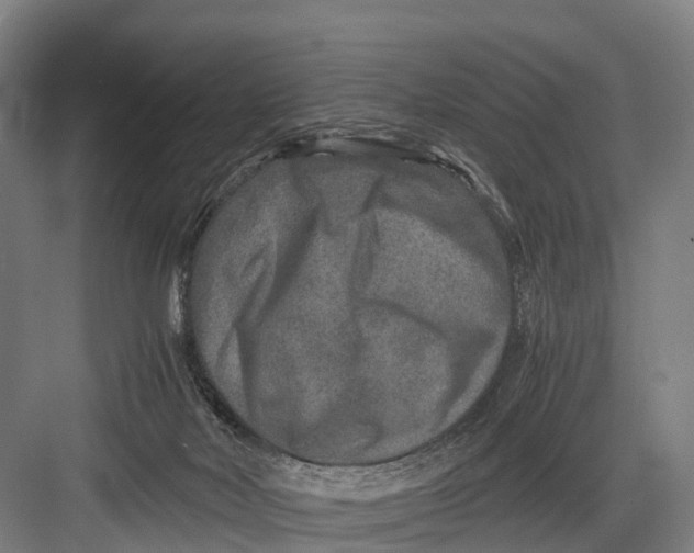 X0000082720026200702161853