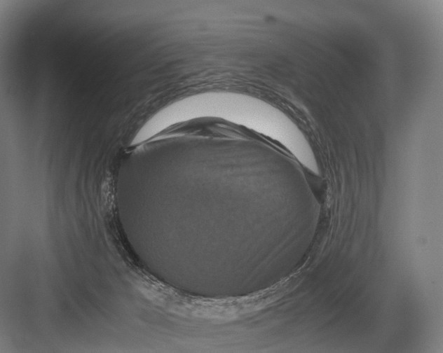 X0000082720029200702161853