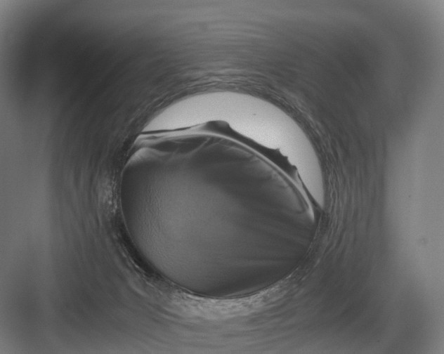 X0000082720031200702161853