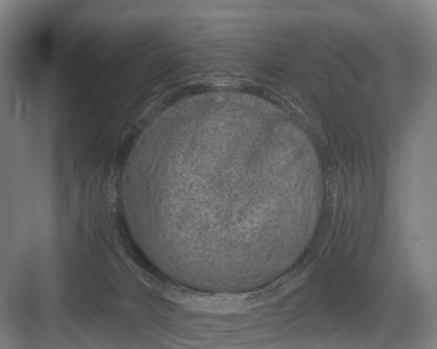 X0000082720032200702161853