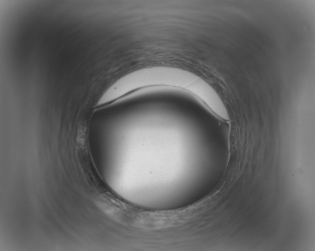 X0000082720033200702161853