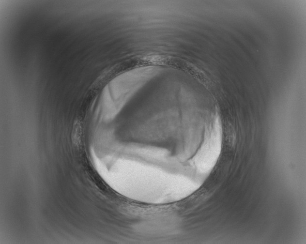 X0000082720036200702161853