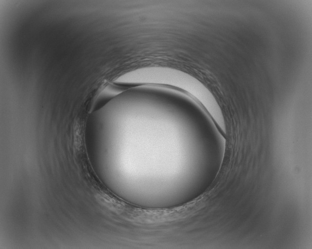 X0000082720037200702161853