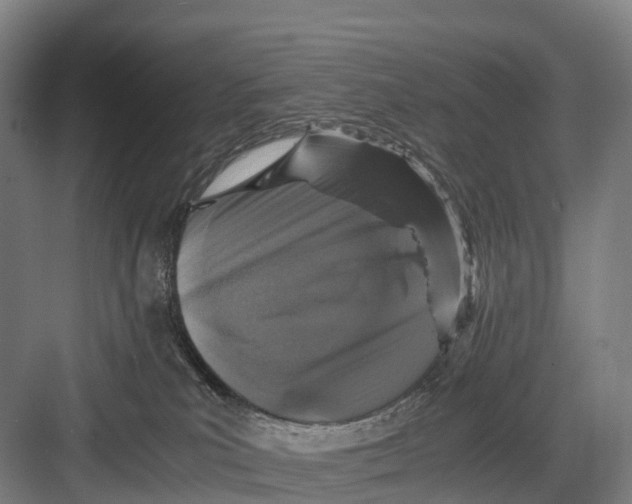 X0000082720039200702161853