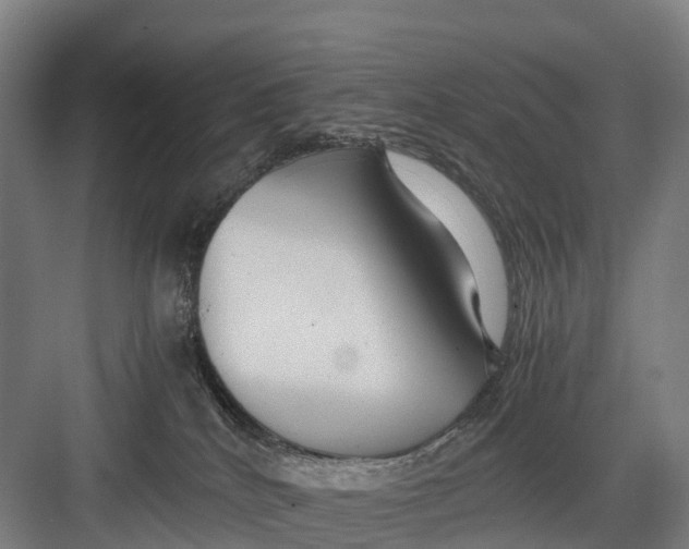 X0000082720040200702161853