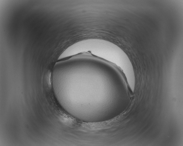 X0000082720041200702161853