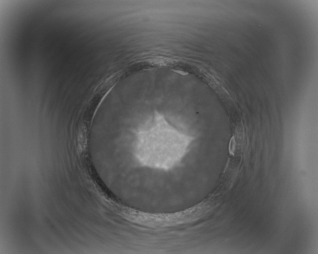 X0000082720043200702161852