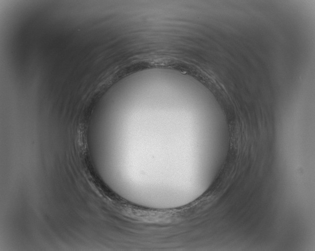 X0000082720044200702161852