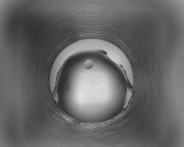 X0000082720045200702161852