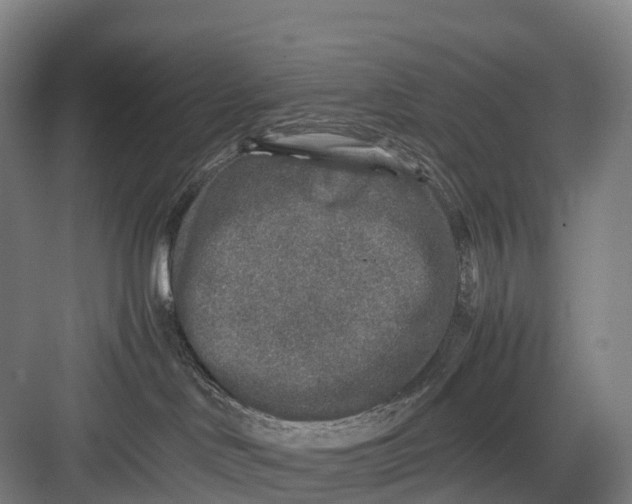 X0000082720046200702161852