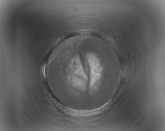 X0000082720047200702161852