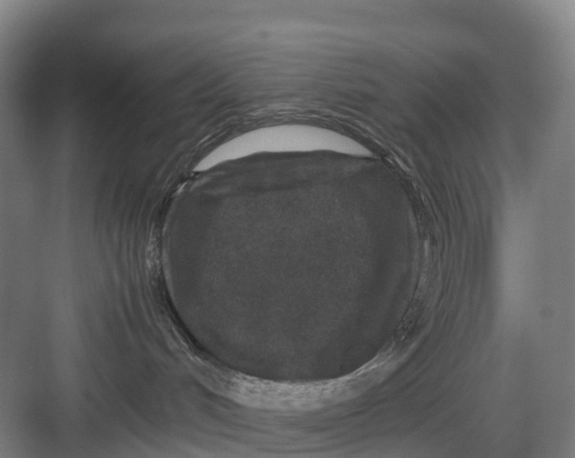 X0000082720048200702161852