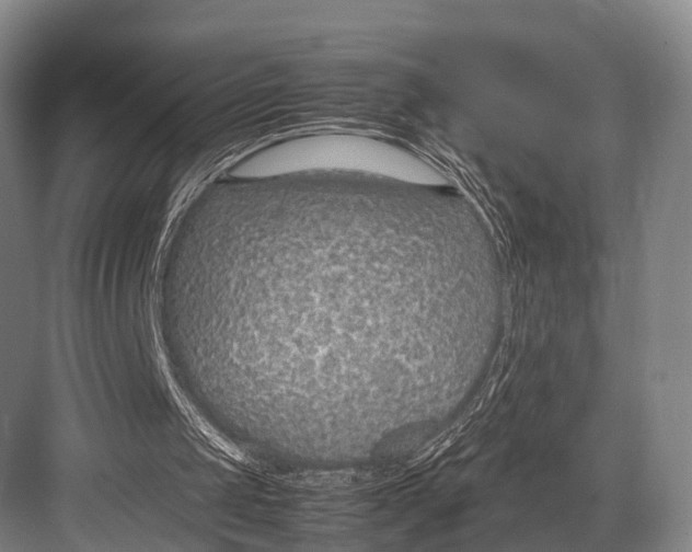 X0000082720049200702161852