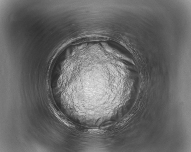 X0000082720050200702161852