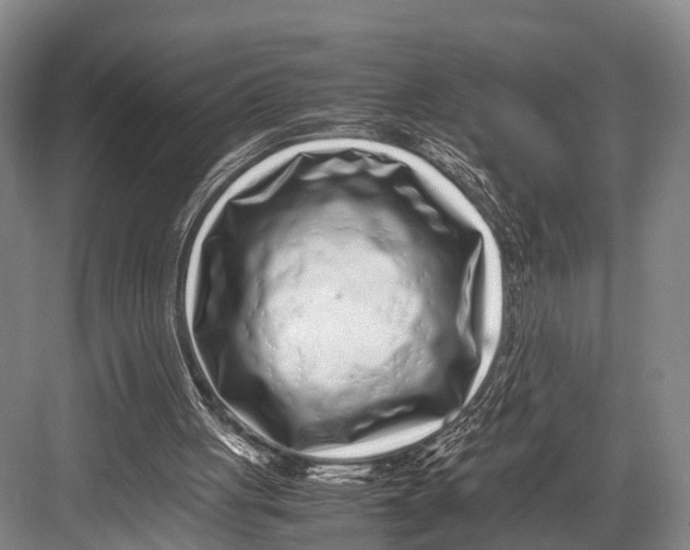 X0000082720051200702161852