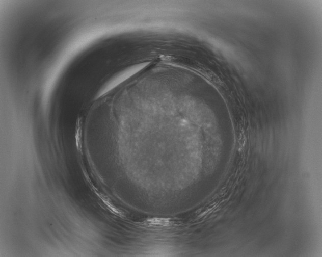 X0000082720052200702161852