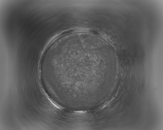 X0000082720053200702161852