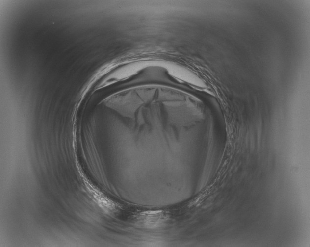 X0000082720054200702161852