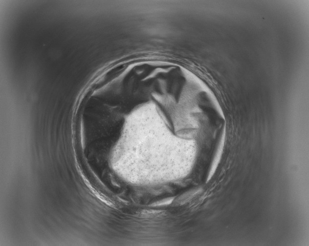 X0000082720055200702161852