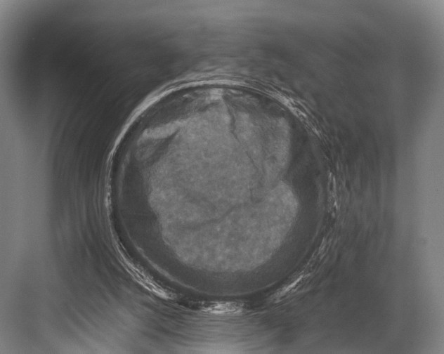 X0000082720056200702161852