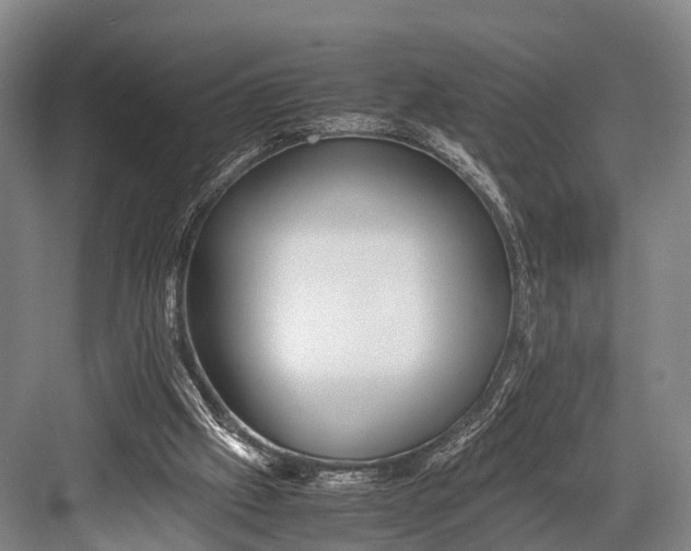 X0000082720057200702161852