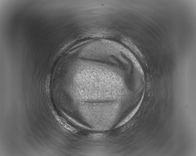 X0000082720058200702161852