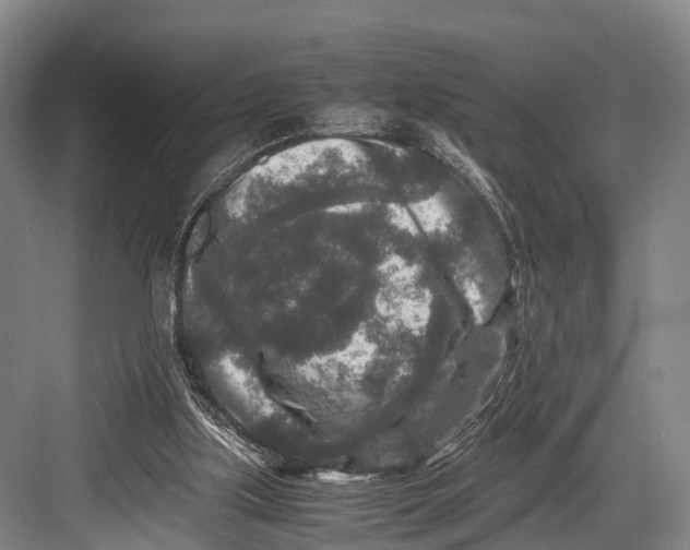 X0000082720059200702161852