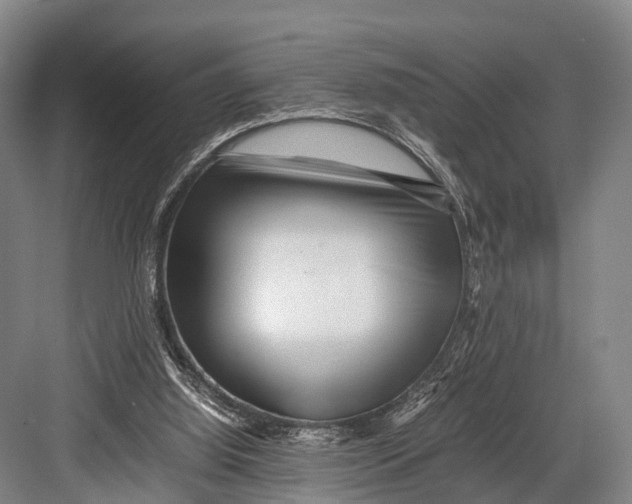 X0000082720060200702161852