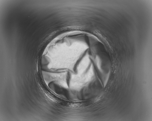 X0000082720062200702161852