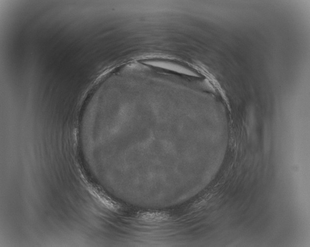 X0000082720063200702161852