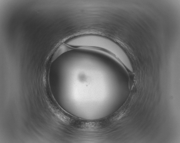 X0000082720064200702161852