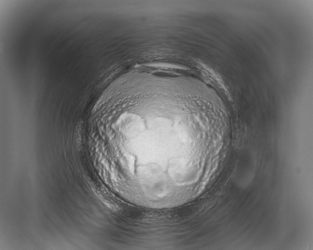 X0000082720065200702161852