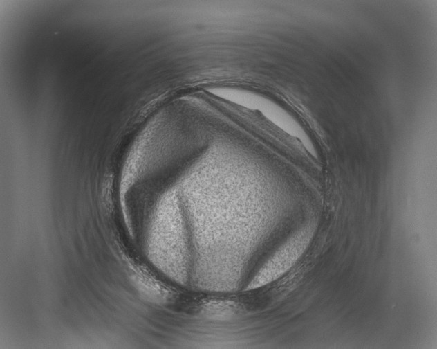 X0000082720066200702161852