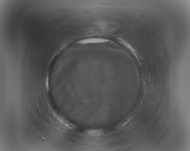 X0000082720067200702161852