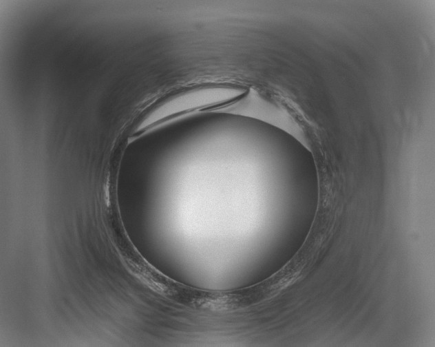 X0000082720068200702161852