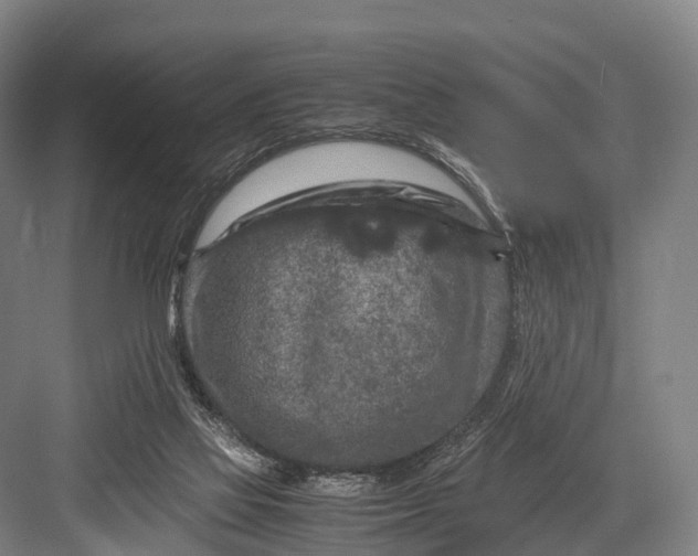 X0000082720069200702161852