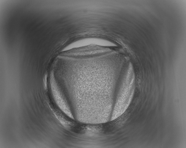 X0000082720070200702161852