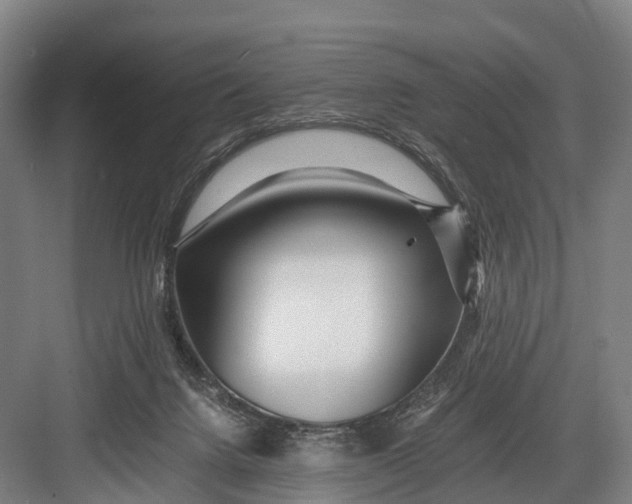 X0000082720072200702161852