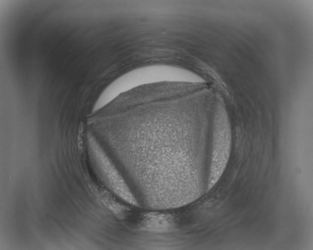 X0000082720073200702161852