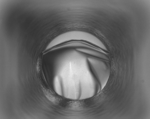 X0000082720074200702161852