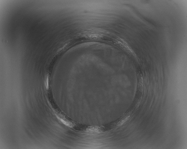 X0000082720076200702161852