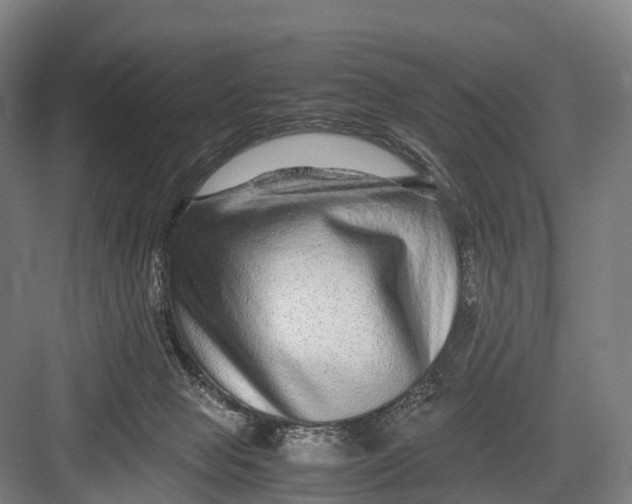 X0000082720077200702161852