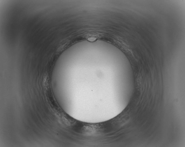 X0000082720079200702161852