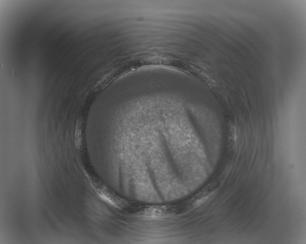 X0000082720080200702161852